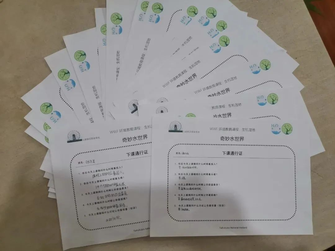 森萤_森萤_森萤