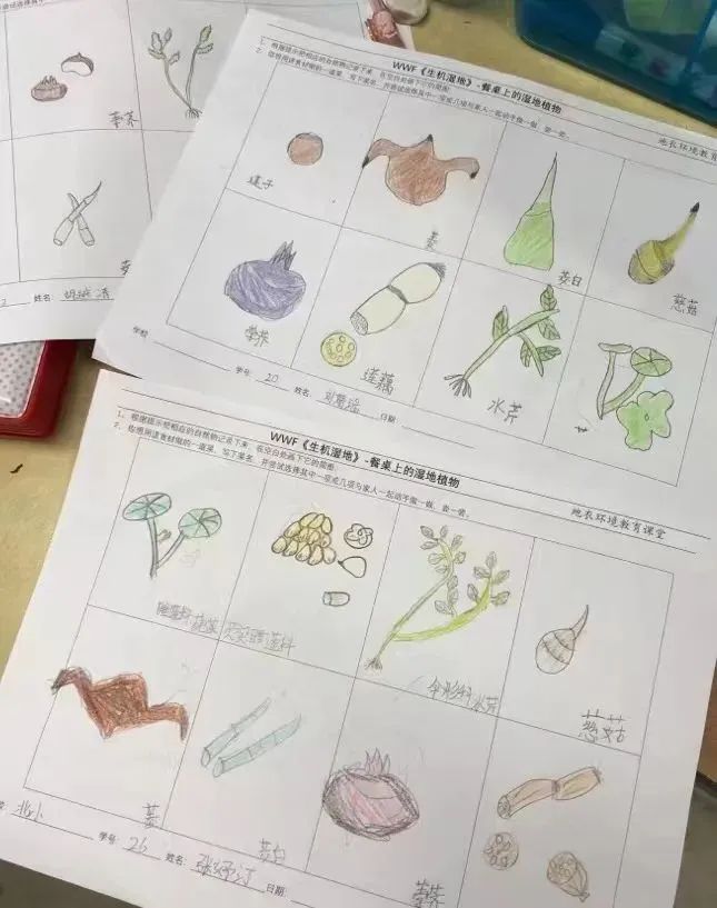 森萤_森萤_森萤