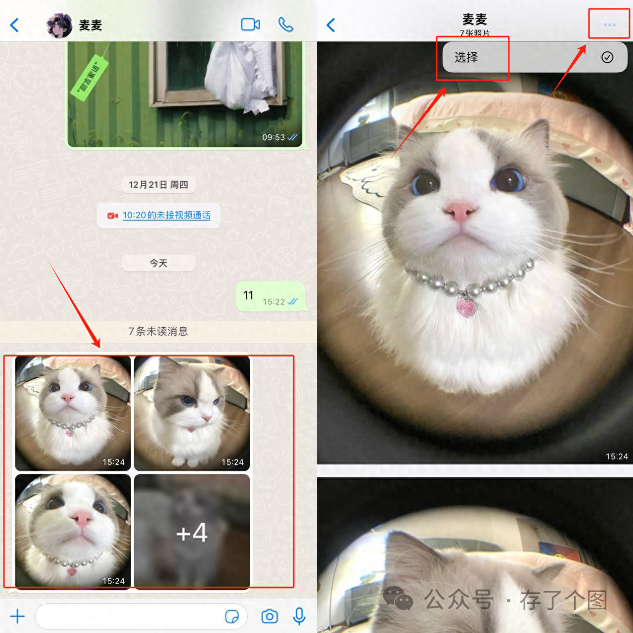 推特视频下载_视频推特下载app_推特上的视频怎么下载