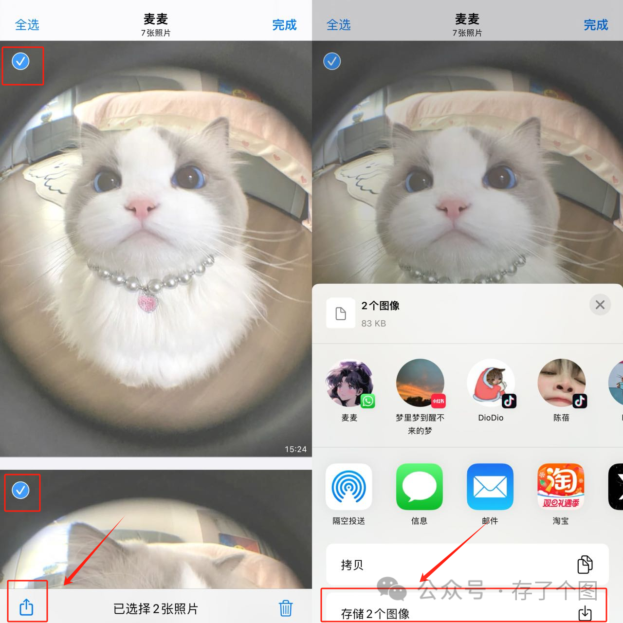 视频推特下载app_推特上的视频怎么下载_推特视频下载