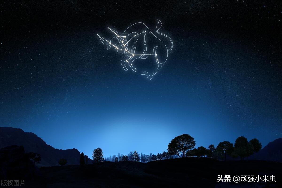 查询农历星座的软件_农历查看星座_星座农历查询