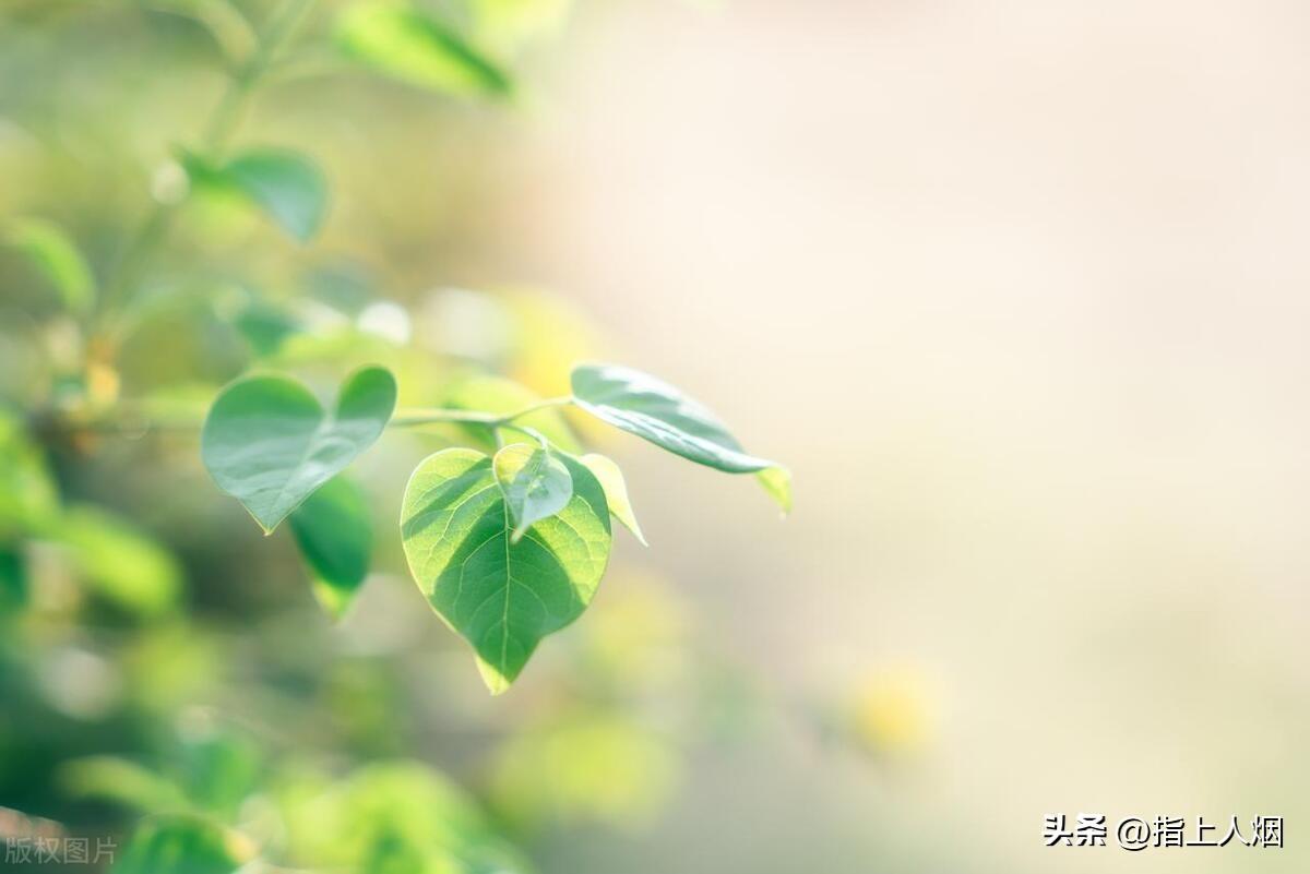 算命说的能不能信_算命的话能信吗_算命说的话能信多少