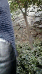 算命的话能信吗_算命话能信吗_算命说的能不能信
