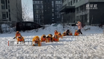 老友网—南宁网络广播电视台_老友网_南宁老友网