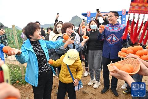 南宁老友网_老友网_老友网—南宁网络广播电视台