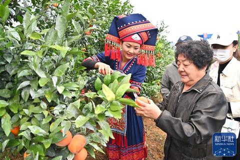 老友网_南宁老友网_老友网—南宁网络广播电视台
