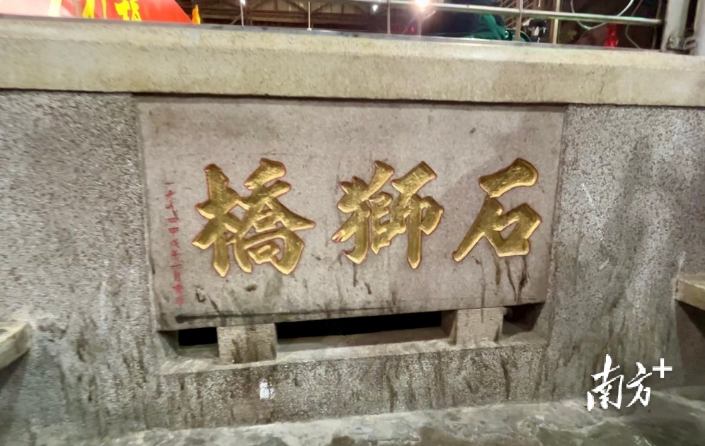 狮鼻和悬胆鼻的图片_狮鼻面相女_狮鼻