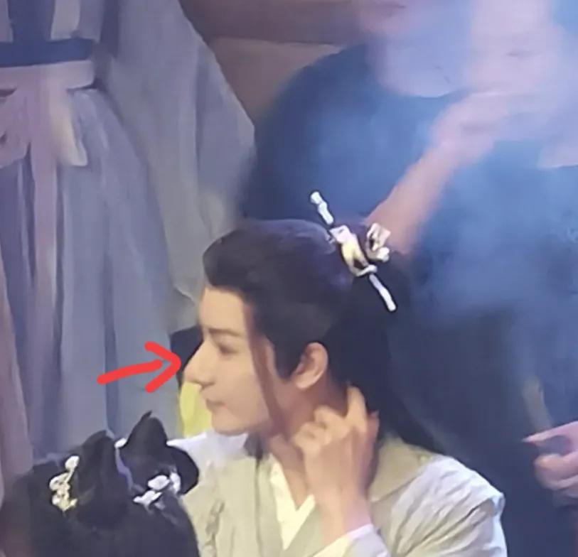 狮鼻的男人面相图片_狮鼻和悬胆鼻的图片_狮鼻