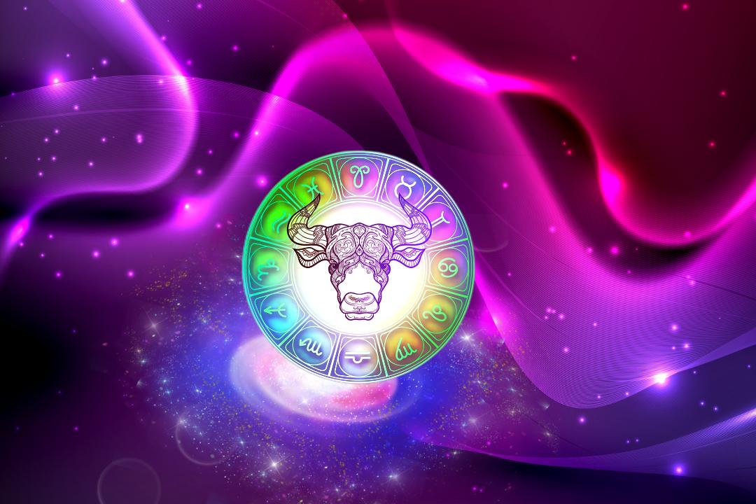 运势星座摩羯座_2023星座运势_运势星座查询
