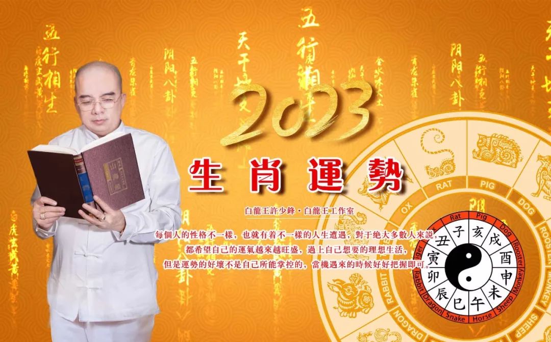 2023运势12生肖运势详解_2023生肖运势大解析_2023年运程十二生肖运程属