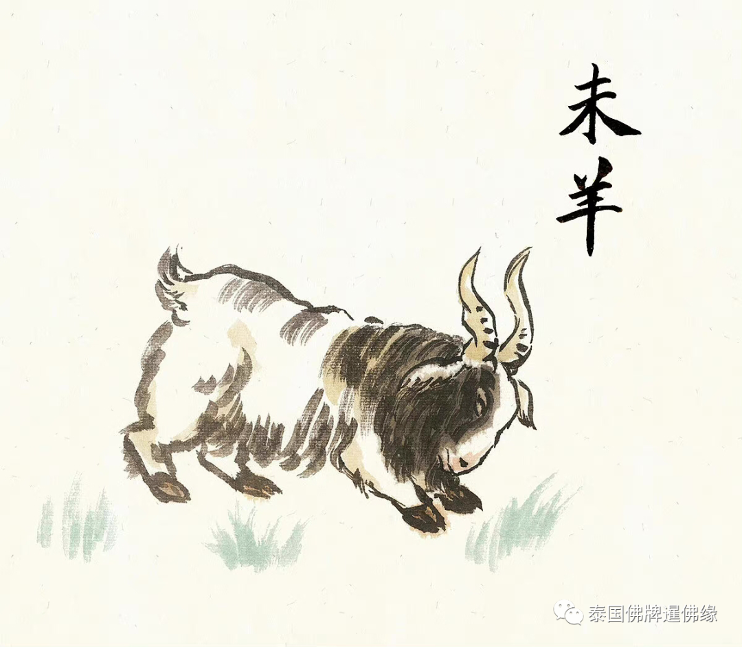 2023运势12生肖运势详解_2023生肖运势大解析_生肖运势2023年