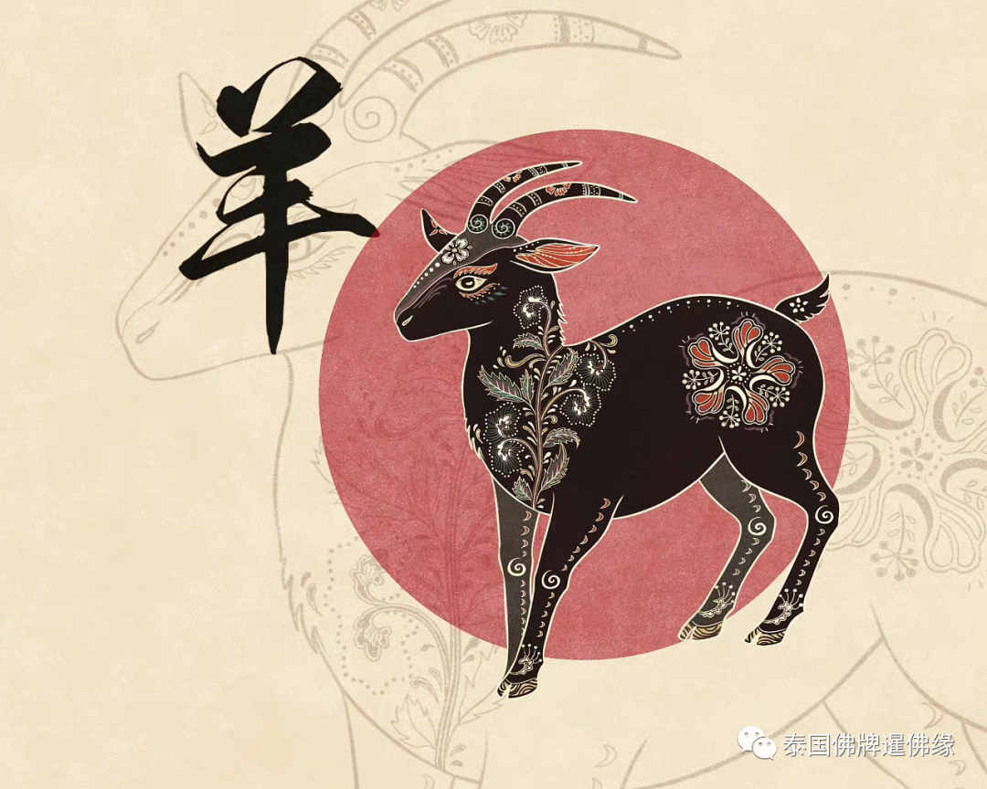2023运势12生肖运势详解_2023生肖运势大解析_生肖运势2023年