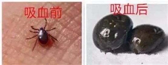 脖子上有白色的一块怎么回事_脖子上的皮松弛是什么原因_脖子上的痣