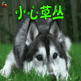脖子上有白色的一块怎么回事_脖子上的痣_脖子上的皮松弛是什么原因