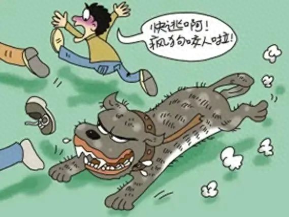 梦见狗咬狗-梦见被狗咬，有哪些说法和寓意？