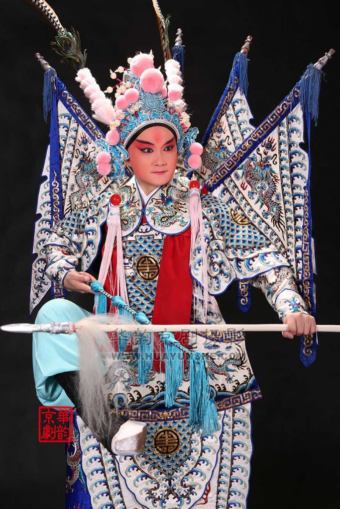 狄青害死杨宗保_狄青杨文广_杨文广征南狄龙