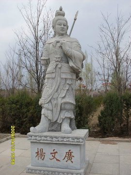 狄青害死杨宗保_狄青杨文广_杨文广征南狄龙