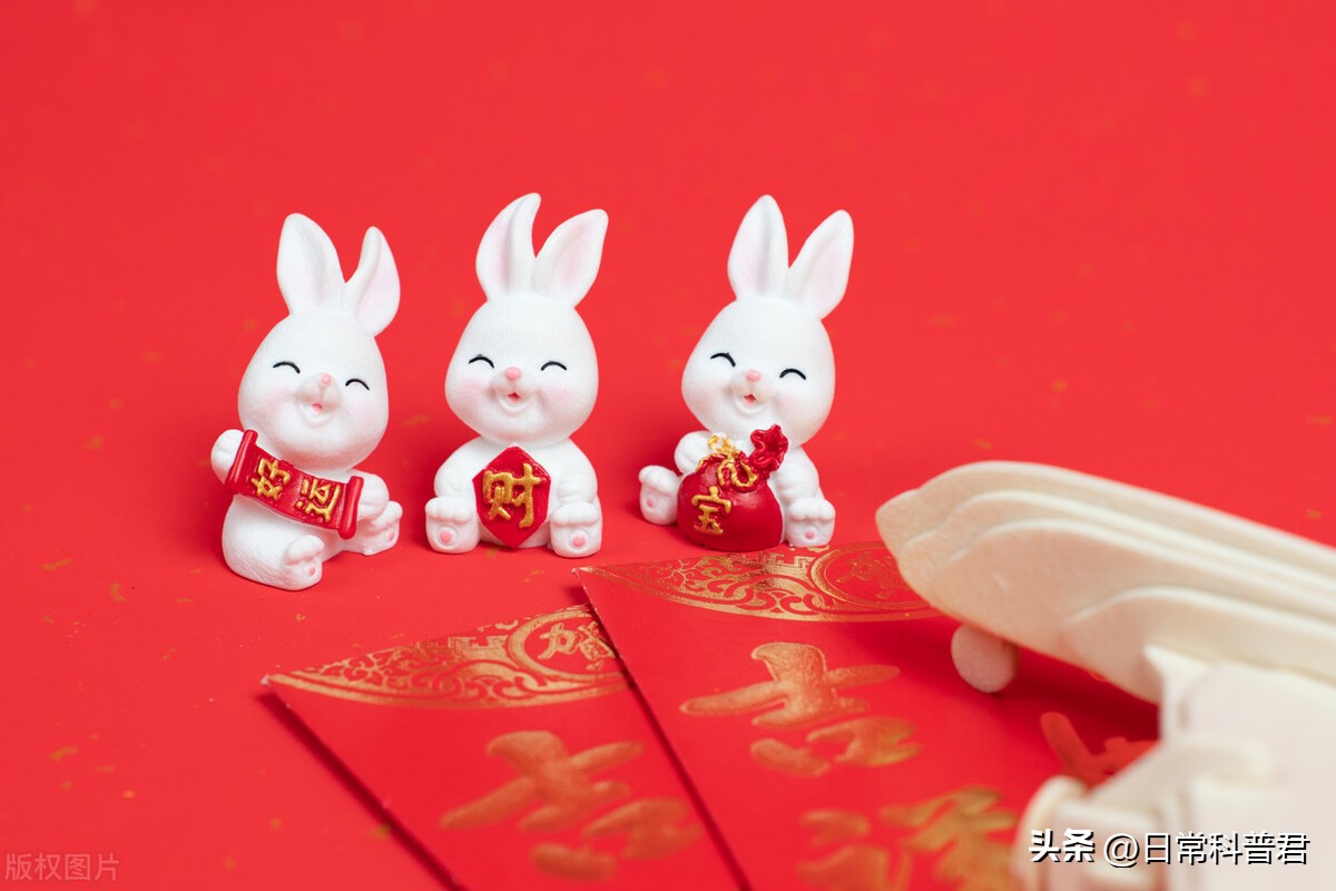 2023是属于什么生肖年_2023年属相是_生肖年份2023