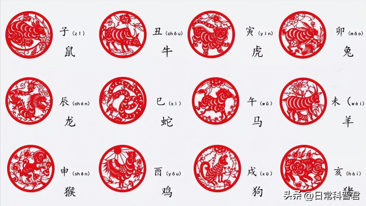 2023是属于什么生肖年_2023年属相是_生肖年份2023