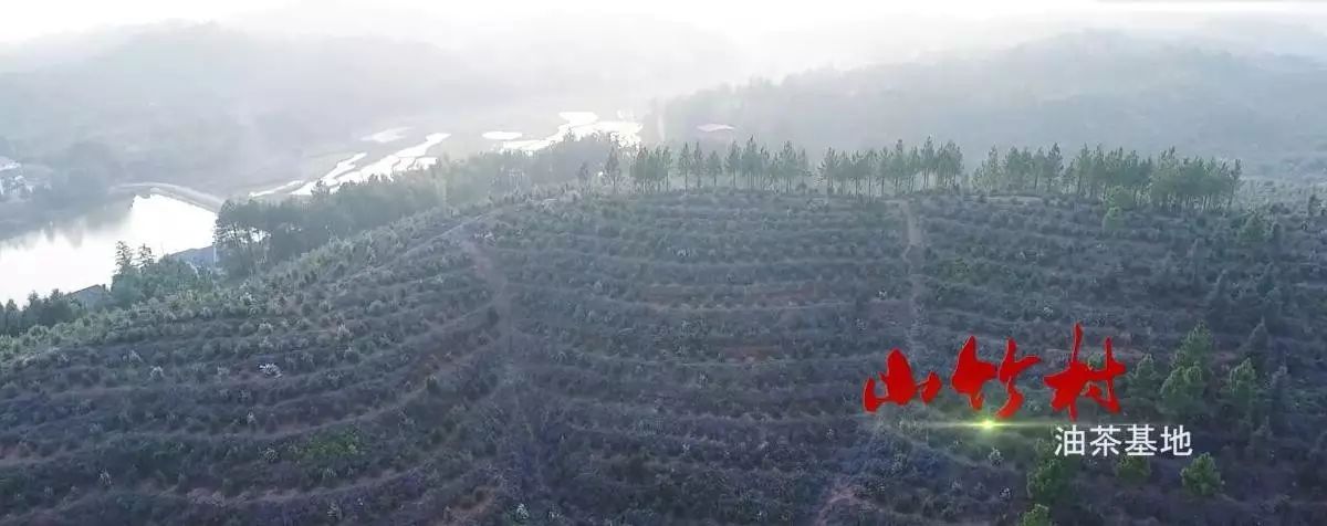 农村远程教育官网_农村远程教育网_中国农村远程教育网查询