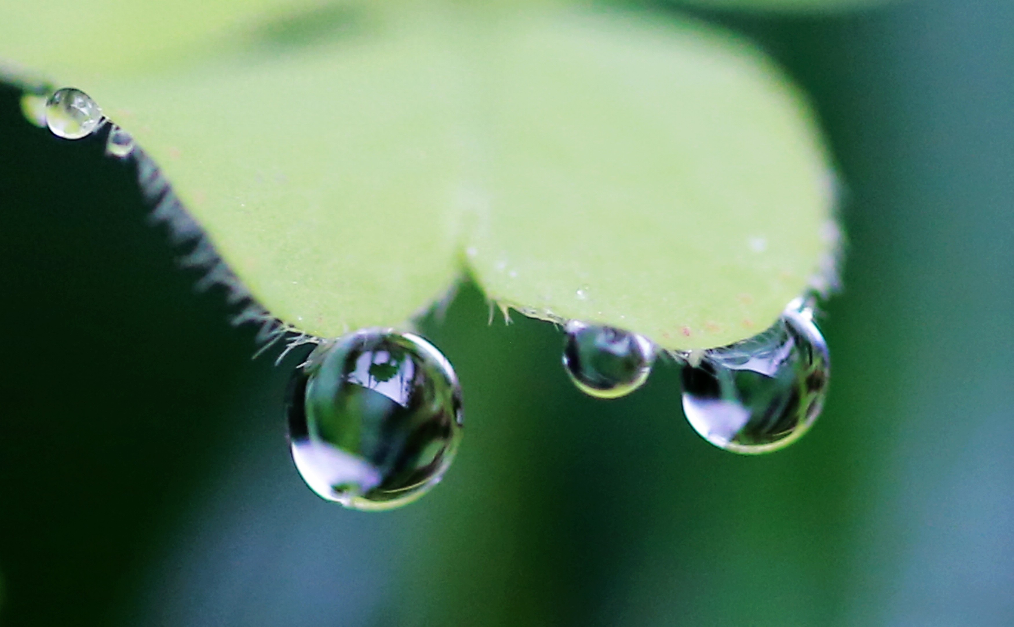 节气月份_节气月份划分标准_七月的二十四节气