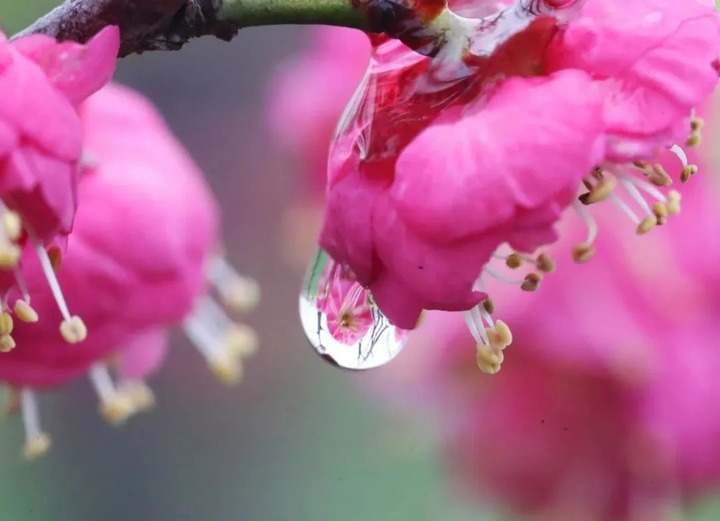 节气月份_节气月份划分标准_七月的二十四节气
