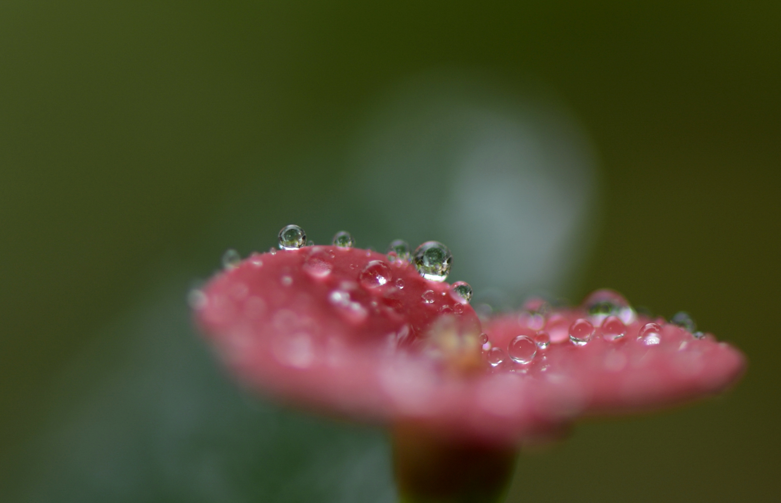 节气月份_七月的二十四节气_节气月份划分标准