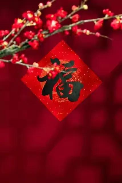 属狗人2023年运势运程_属狗2023年属狗运势和运_属狗的人2023年运势