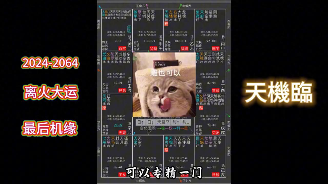 紫薇盘怎么看_紫薇盘看什么时候结婚_紫薇盘