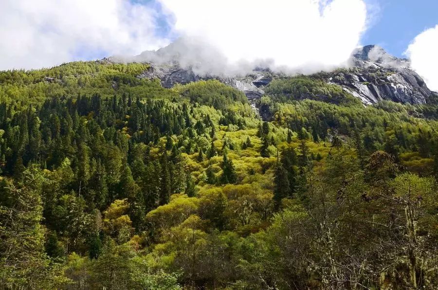 四姑娘山海拔多少米_4姑娘山海拔景区海拔多少米_姑娘山海拔多少米