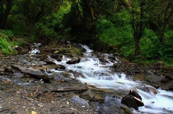 4姑娘山海拔景区海拔多少米_四姑娘山海拔多少米_姑娘山海拔多少米