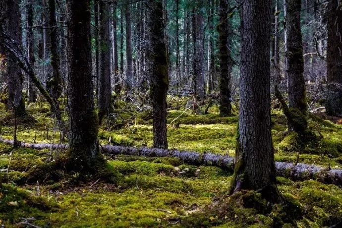 四姑娘山海拔多少米_姑娘山海拔多少米_4姑娘山海拔景区海拔多少米