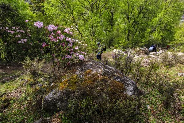 四川四姑娘山景区海拔多少米_四姑娘山海拔多少米_姑娘山海拔多少米