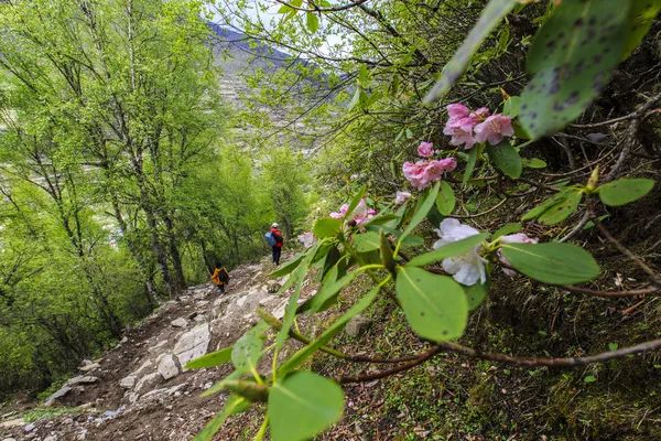 四川四姑娘山景区海拔多少米_姑娘山海拔多少米_四姑娘山海拔多少米