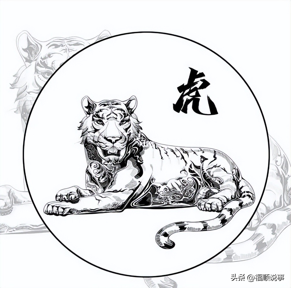 属虎出生年份查询_虎年出生的人都是哪年_属虎的出生年份表