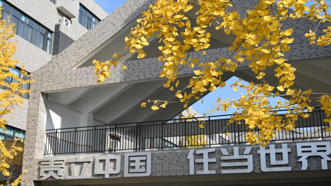 硬币摇卦图解对照表_三个硬币摇六次图解_硬币摇卦图