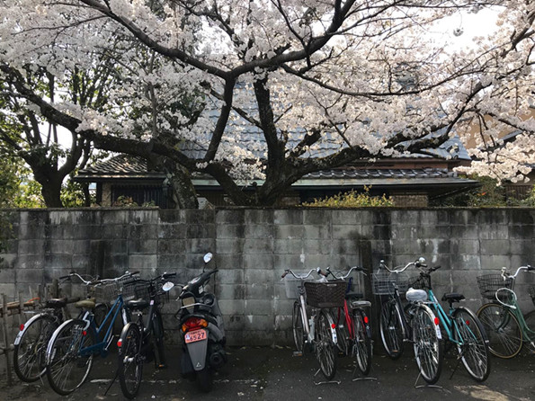 日本镰仓旅游攻略_镰仓在日本哪里_日本镰仓时代