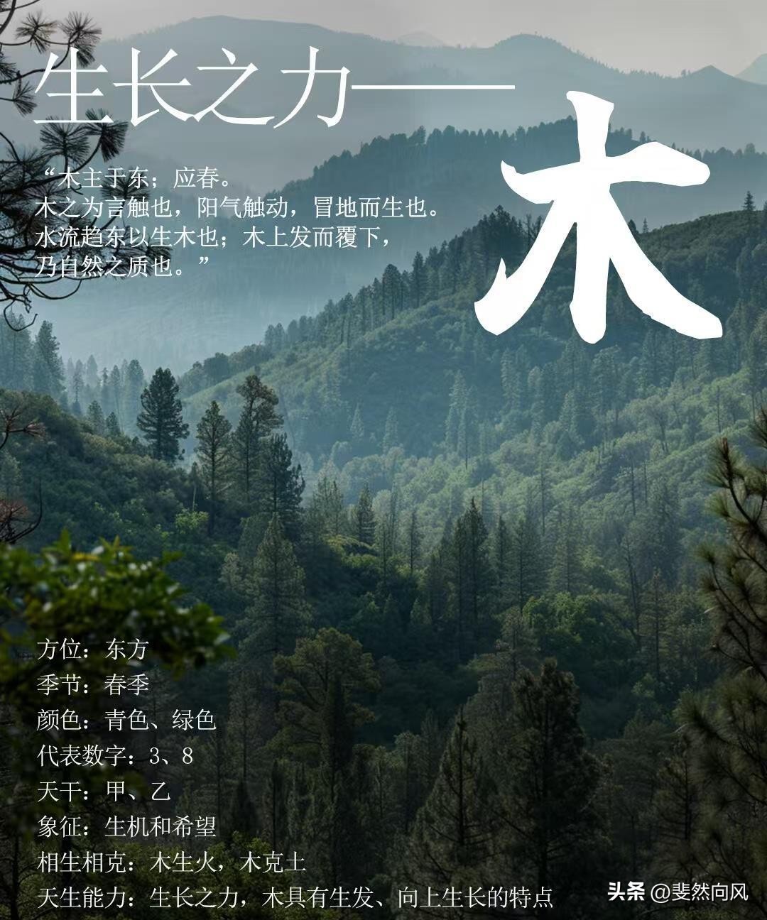 五行测名字免费测试_测五行_五行测算生辰八字免费