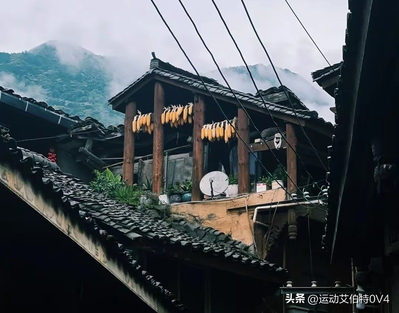家有榆木_榆木不进家是什么意思_榆木家具进家好不好