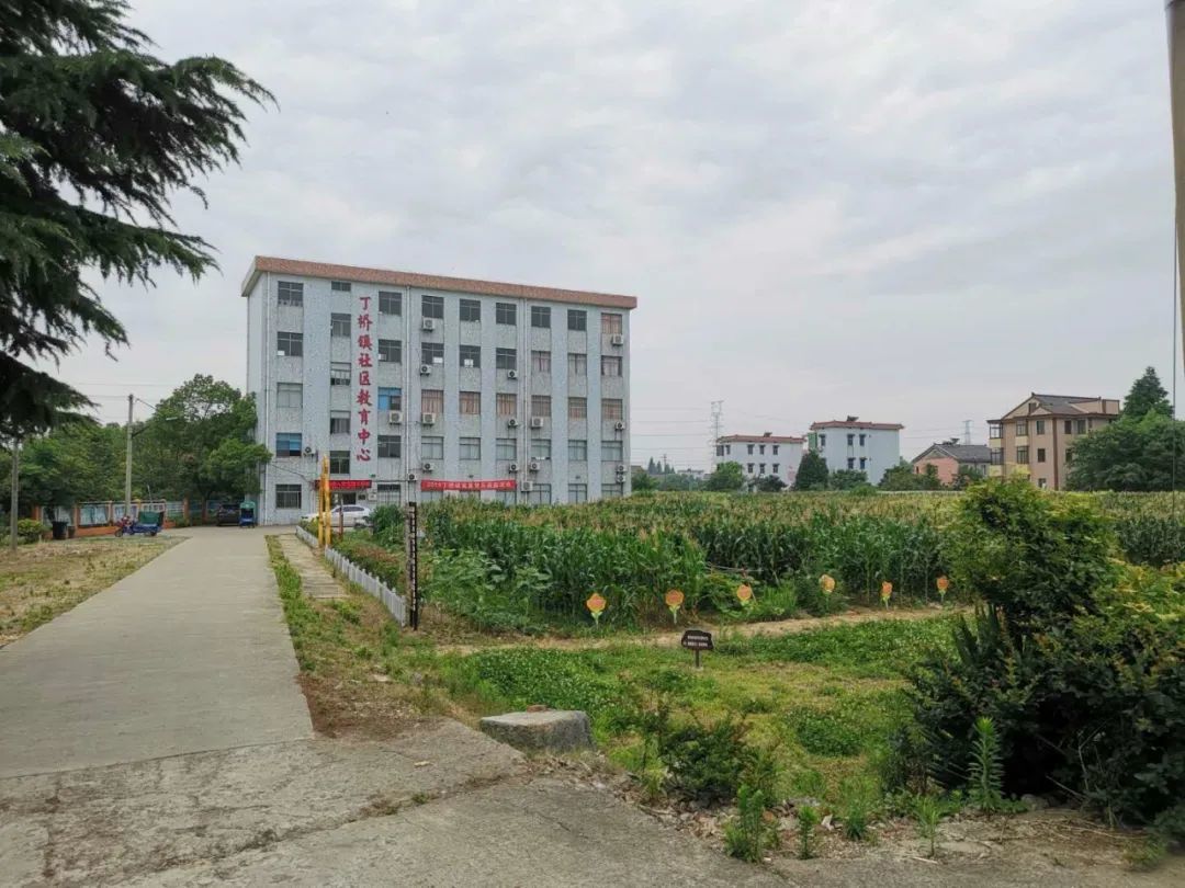 海宁高级中学_海宁市高级中学官网_海宁高级中学一本率