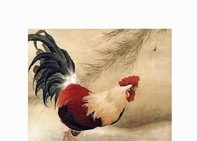 属鸡最佳婚配_属鸡人婚姻观_1921年属什么生肖