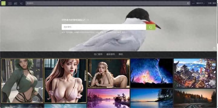 免费高清壁纸网站_盘搜网_电子书搜索下载网站