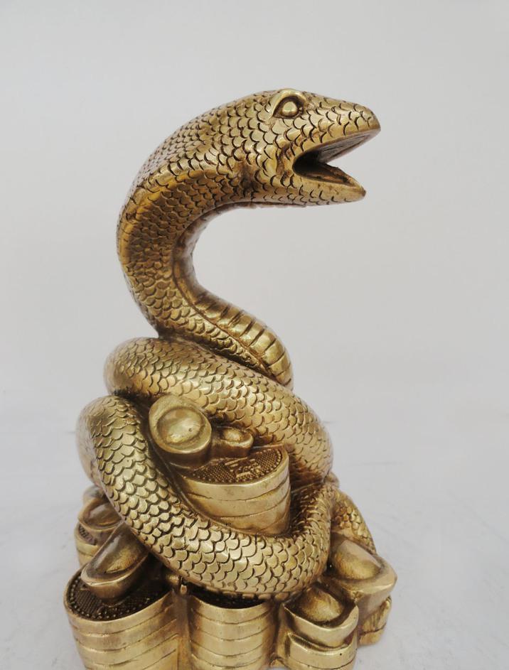 属蛇人晚年财运分析_2001年属蛇的是什么命_中国蛇年财富运势