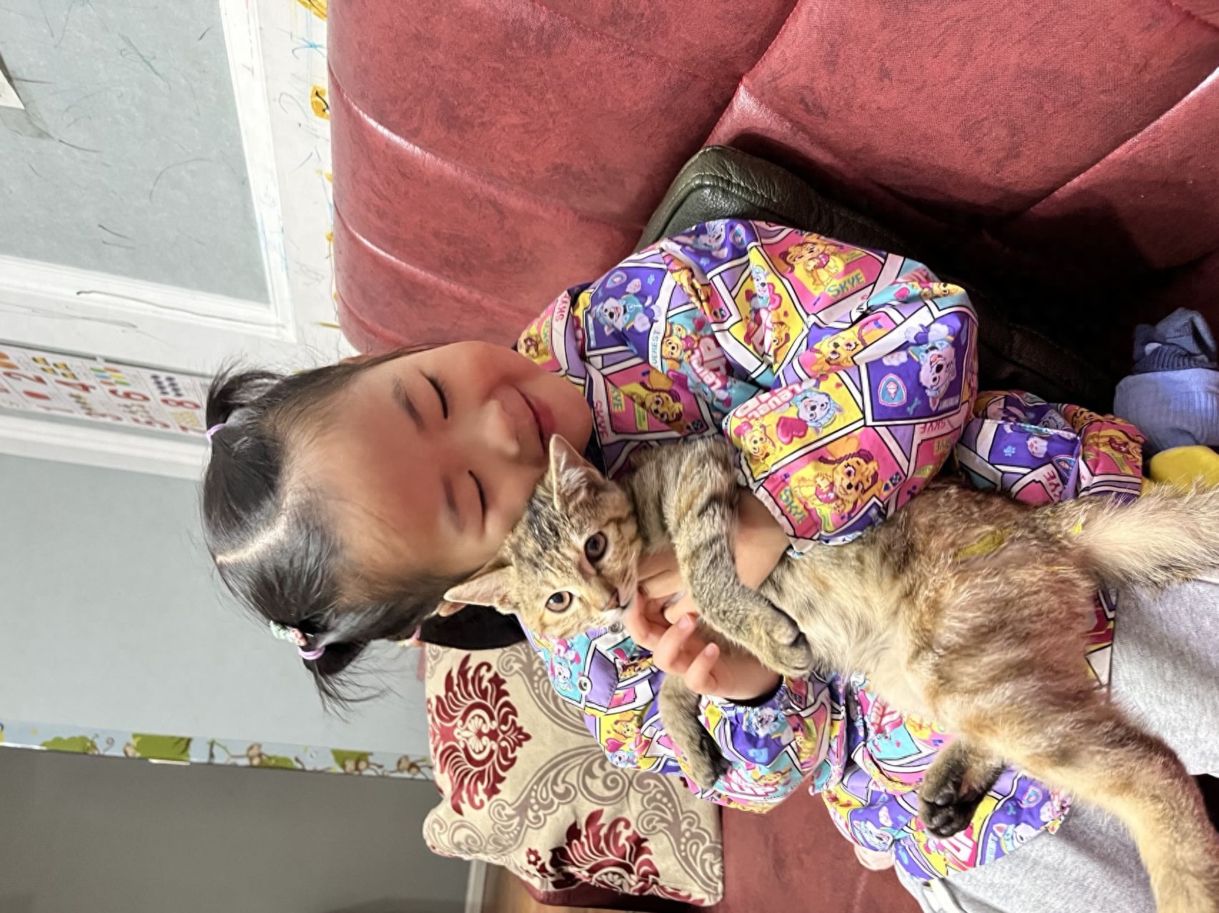 佛教猫命轮回_养猫要背负猫的因果_狸花猫驱鼠故事