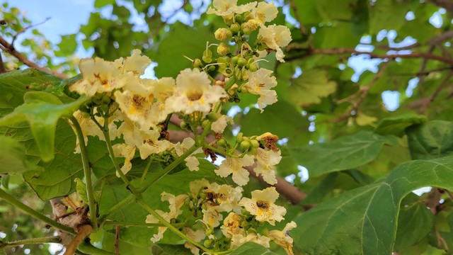宝宝八字命理分析_免费婴儿取名打分测试_八字起名技巧