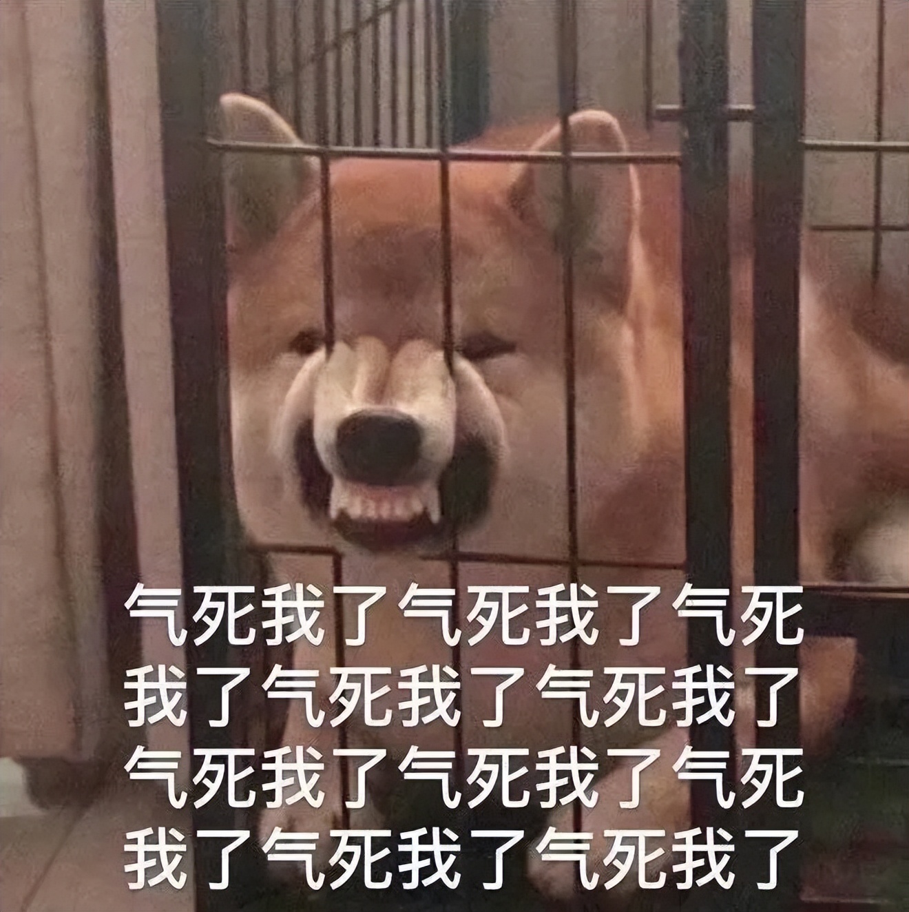  网易云音乐教师节免费VIP活动 _wps学院官网_